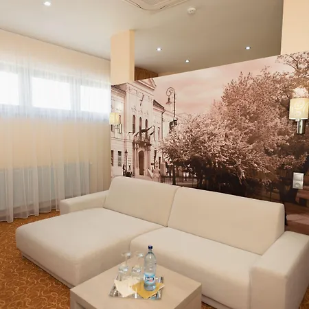 酒店 科希策酒店 4*